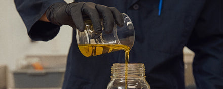 Pouring cannabis oil out of a beaker