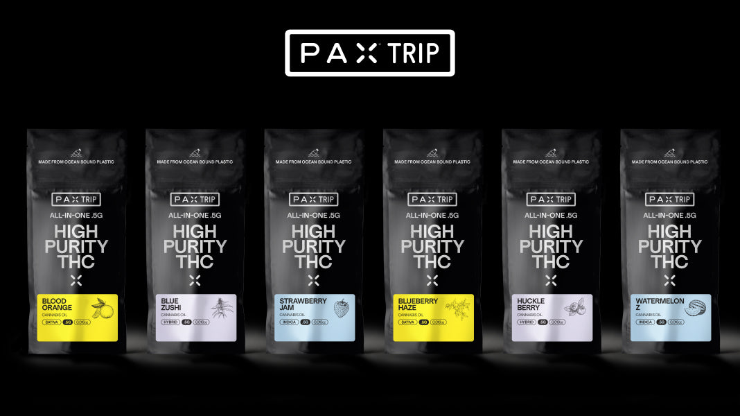 Introducing PAX TRIP All-in-One