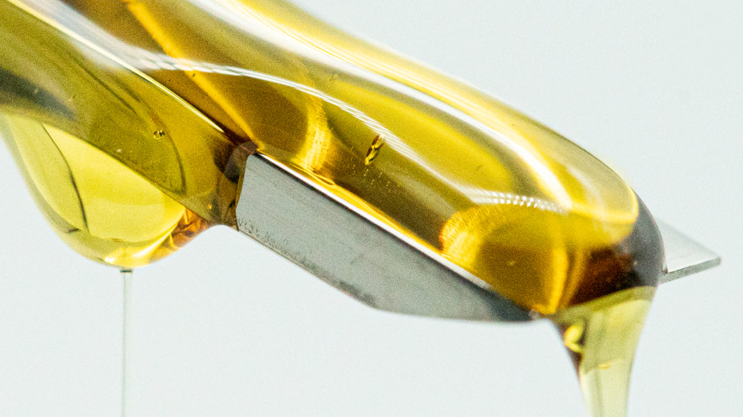 What is Hash Oil?: Our Comprehensive Guide