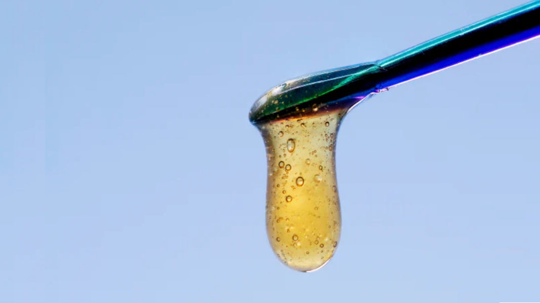 live rosin cannabis oil