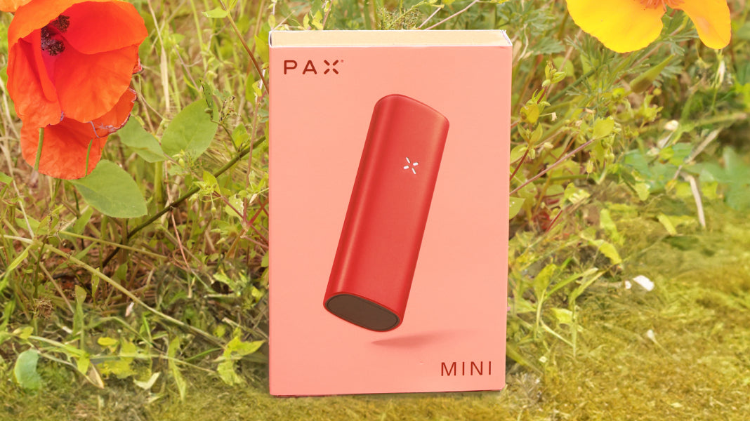 PAX MINI in Poppy