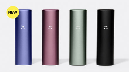 PAX PLUS product lineup, in Onyx, Sage, Elderberry and Periwinkle