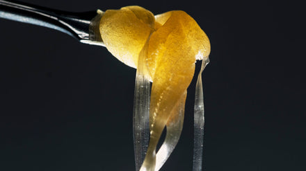 Cannabis oil concentrate