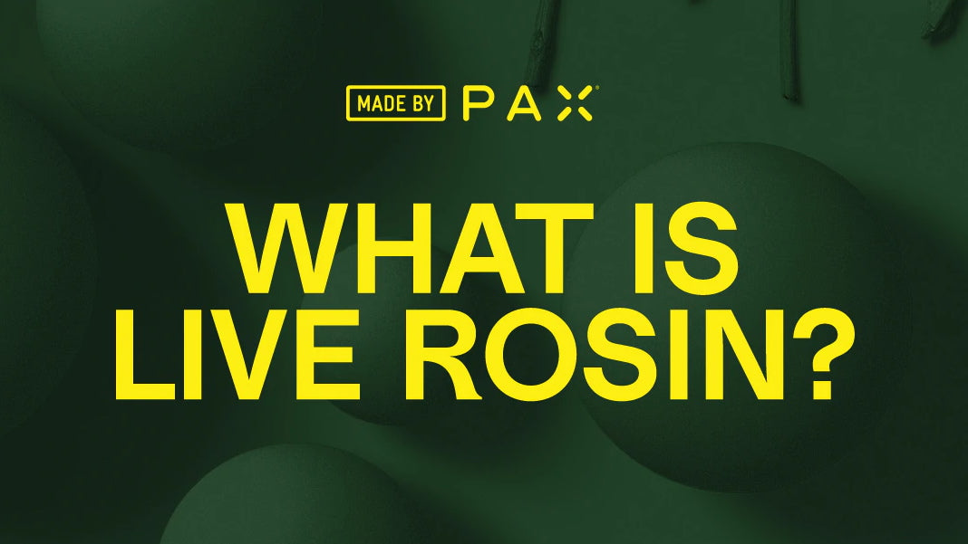 What is Live Rosin? banner
