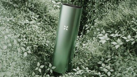 A PAX vaporizer in a lush field of flowers