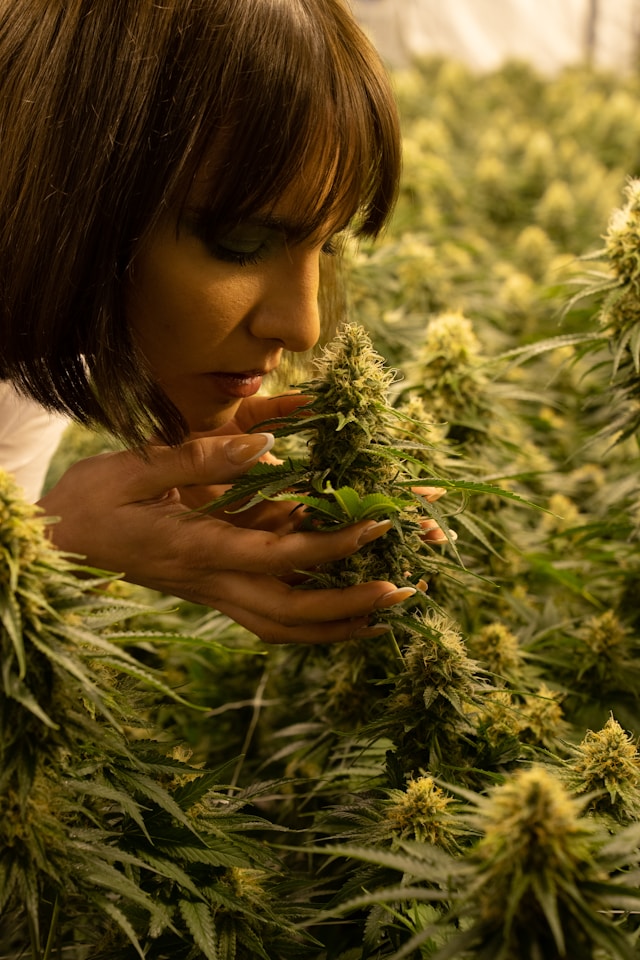 How to Elevate Your Weekend Plans with Cannabis