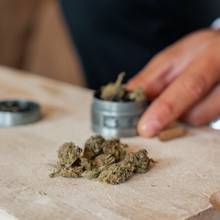Hand with a grinder and fresh cannabis