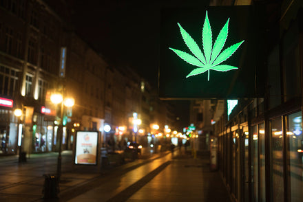 Glowing neon cannabis leaf against a night time city backdrop