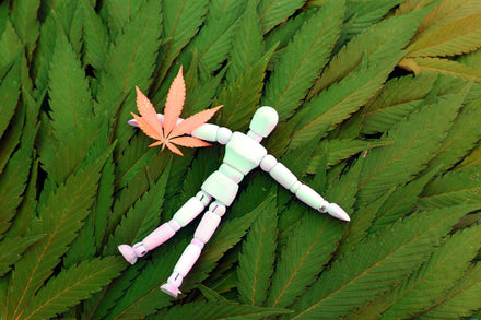 modeling doll with cannabis leaves