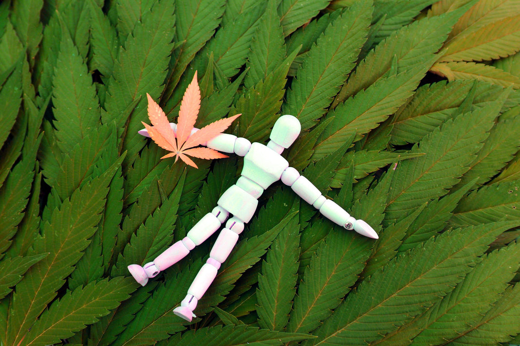 modeling doll with cannabis leaves