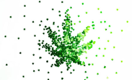 Moments That Matter: Why You Should Start Your Year with PAX